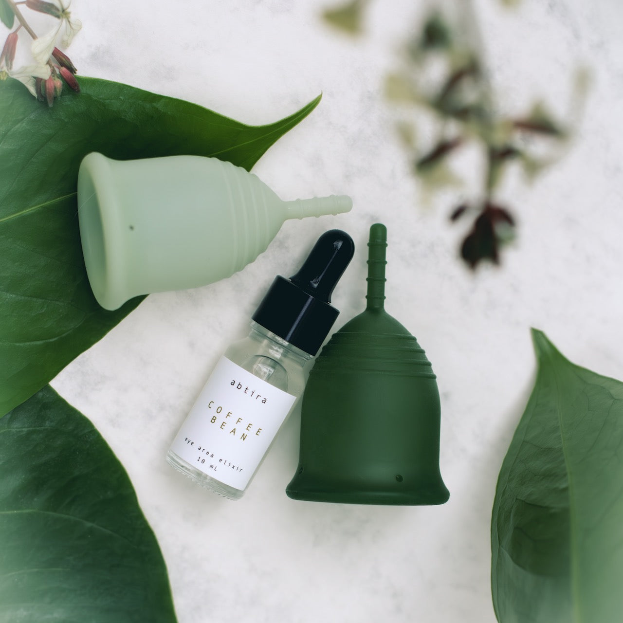 DÜNYA GÜNÜ PAKETİ / abtira x beije