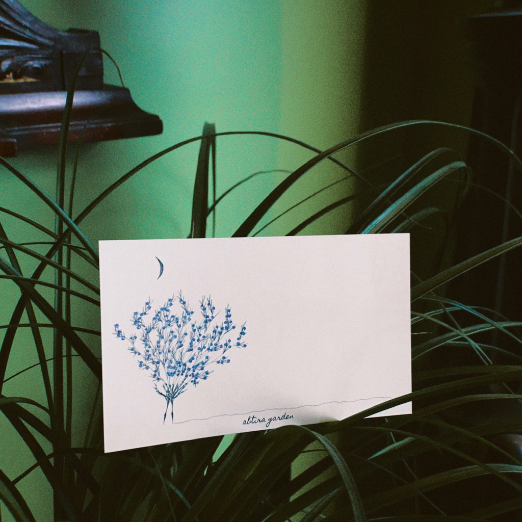 HEDİYE ÇEKİ - JUNIPER