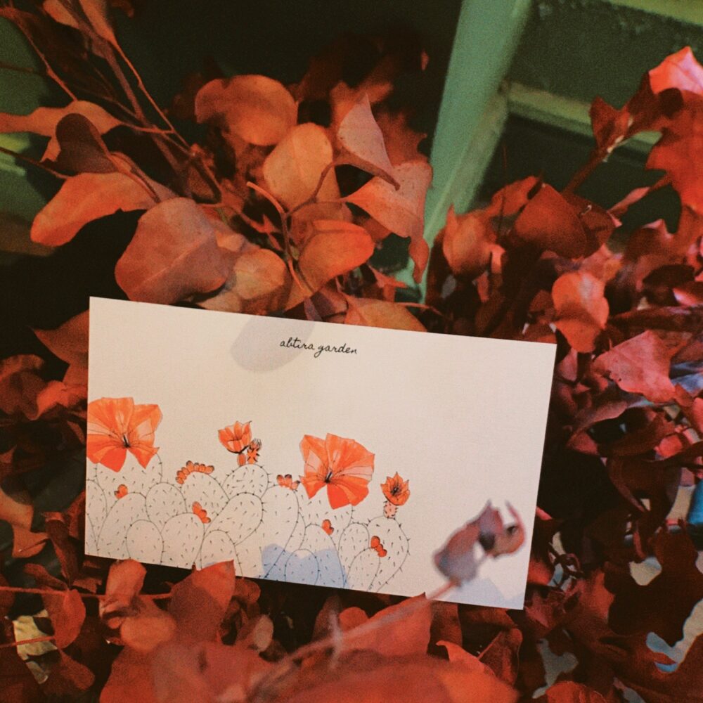 HEDİYE ÇEKİ - OPUNTİA