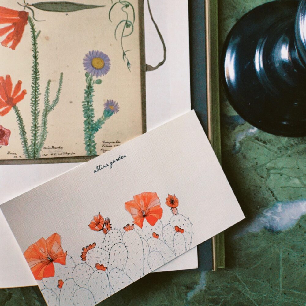 HEDİYE ÇEKİ - OPUNTİA