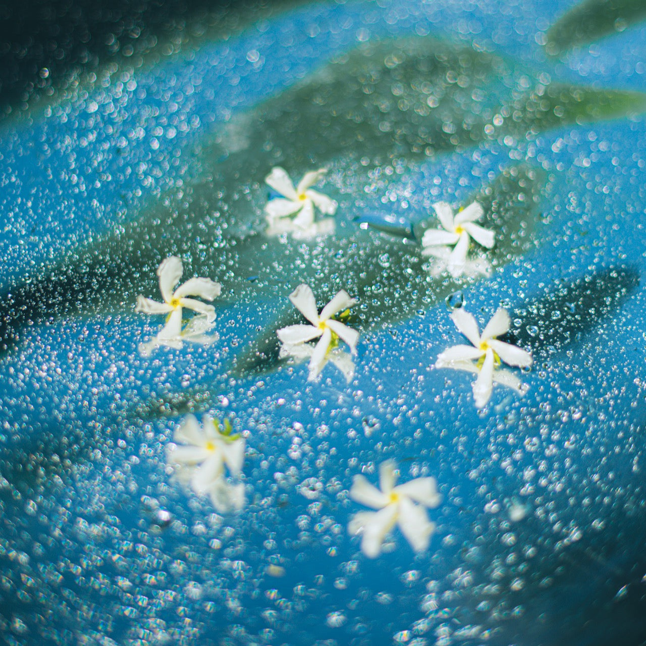 MASAJ - JASMINE NEROLI / masaj yağı / büyüleyici