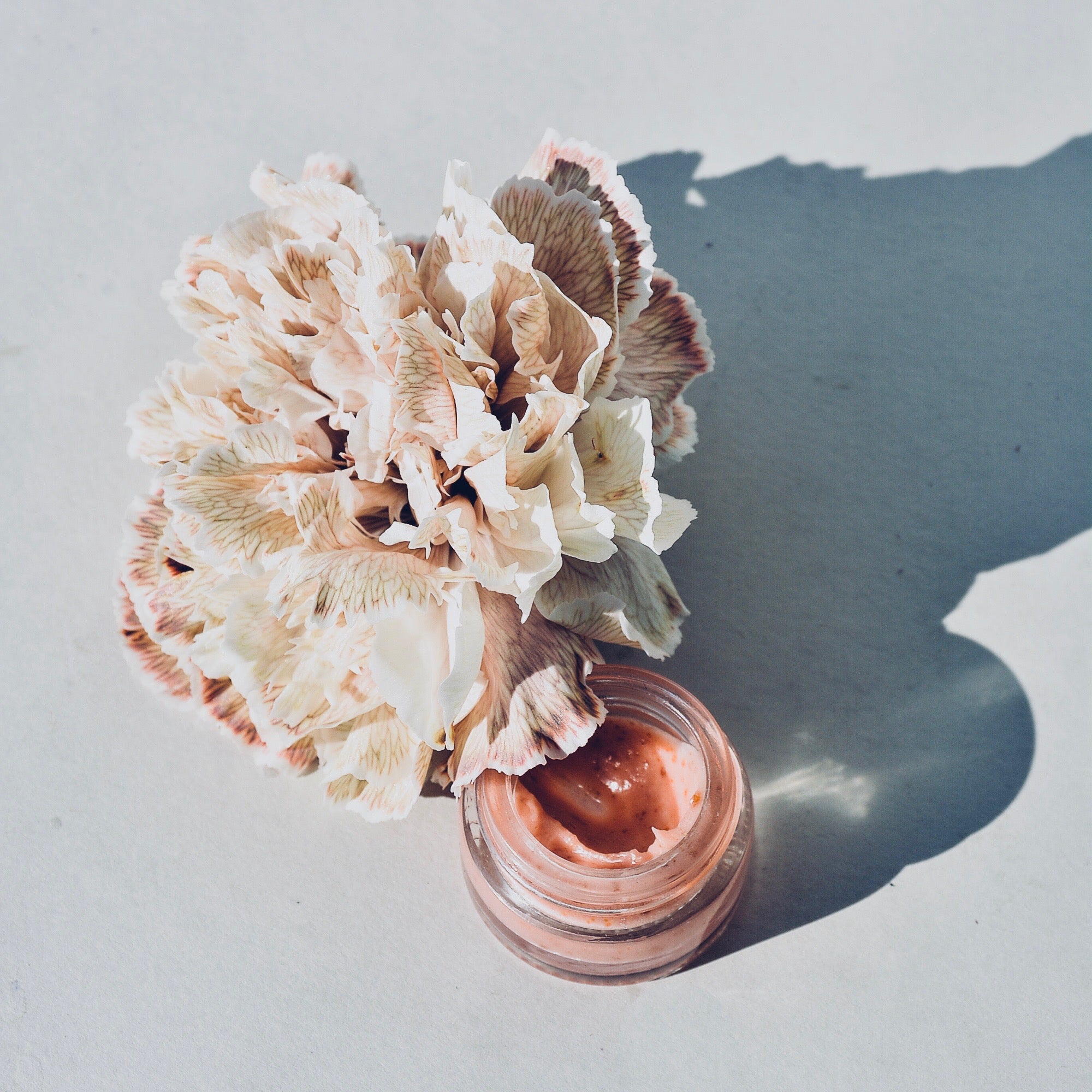 DUDAK - POMEGRANATE coat | narlı dudak balmı