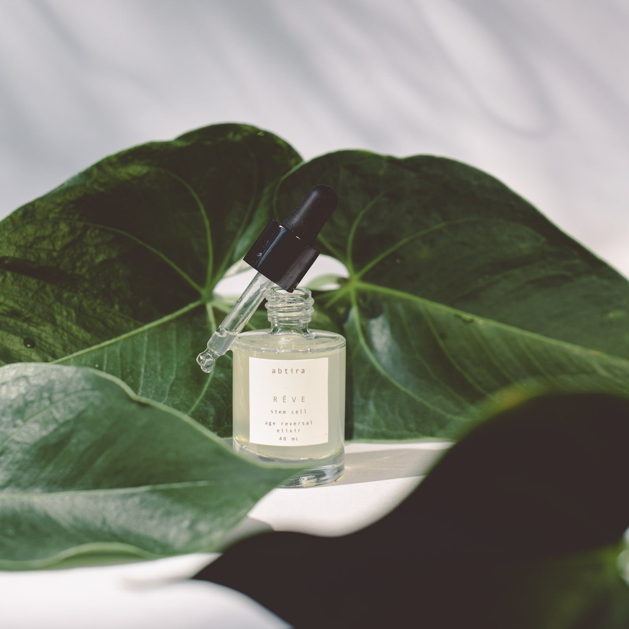 AKTİF - REVE | kaplan otu + yabani zeytin kök hücreleri ve exosomlar içeren nemlendirici, onarıcı ve yaşlanma karşıtı iksir