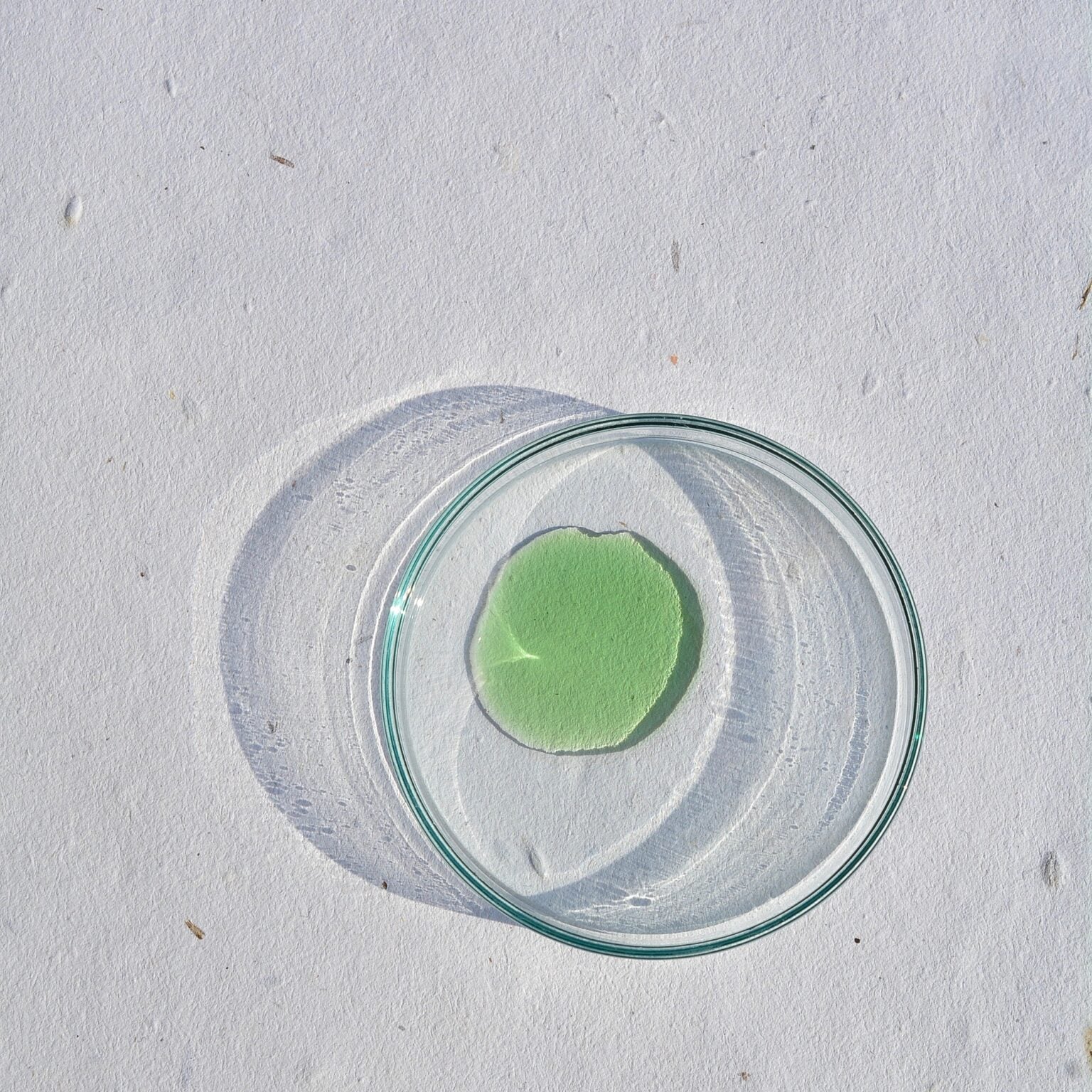 ONARIM - SOFT | kızarıklığa eğilimli ciltler için dengeleyici serum | yüz + vücut